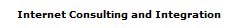 Internet Consulting